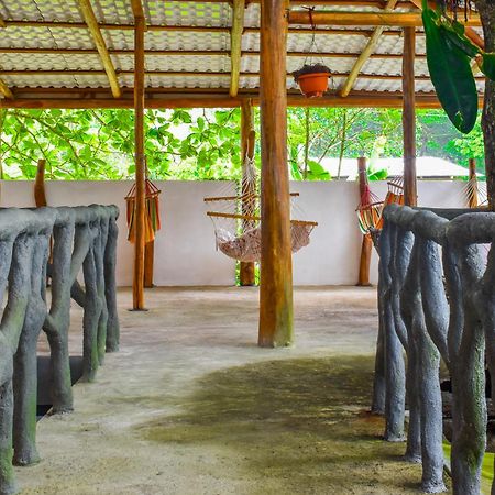El Deseo Serendipity Tortuguero Kültér fotó