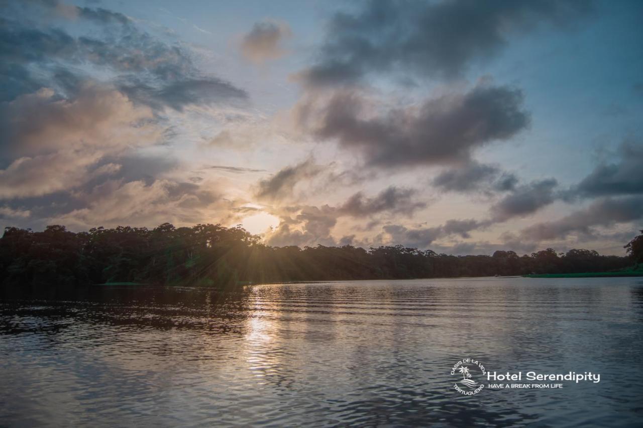 El Deseo Serendipity Tortuguero Kültér fotó