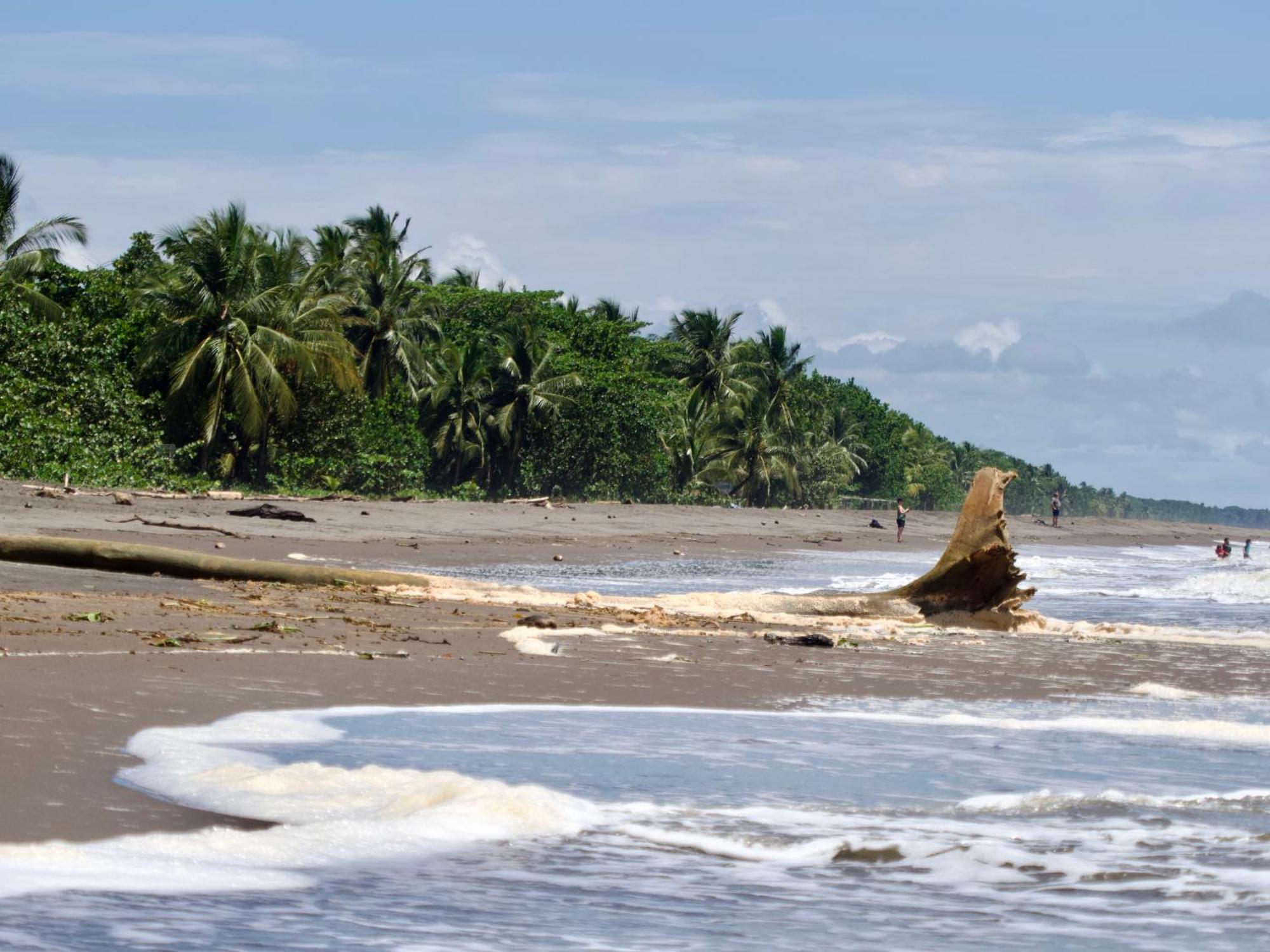 El Deseo Serendipity Tortuguero Kültér fotó