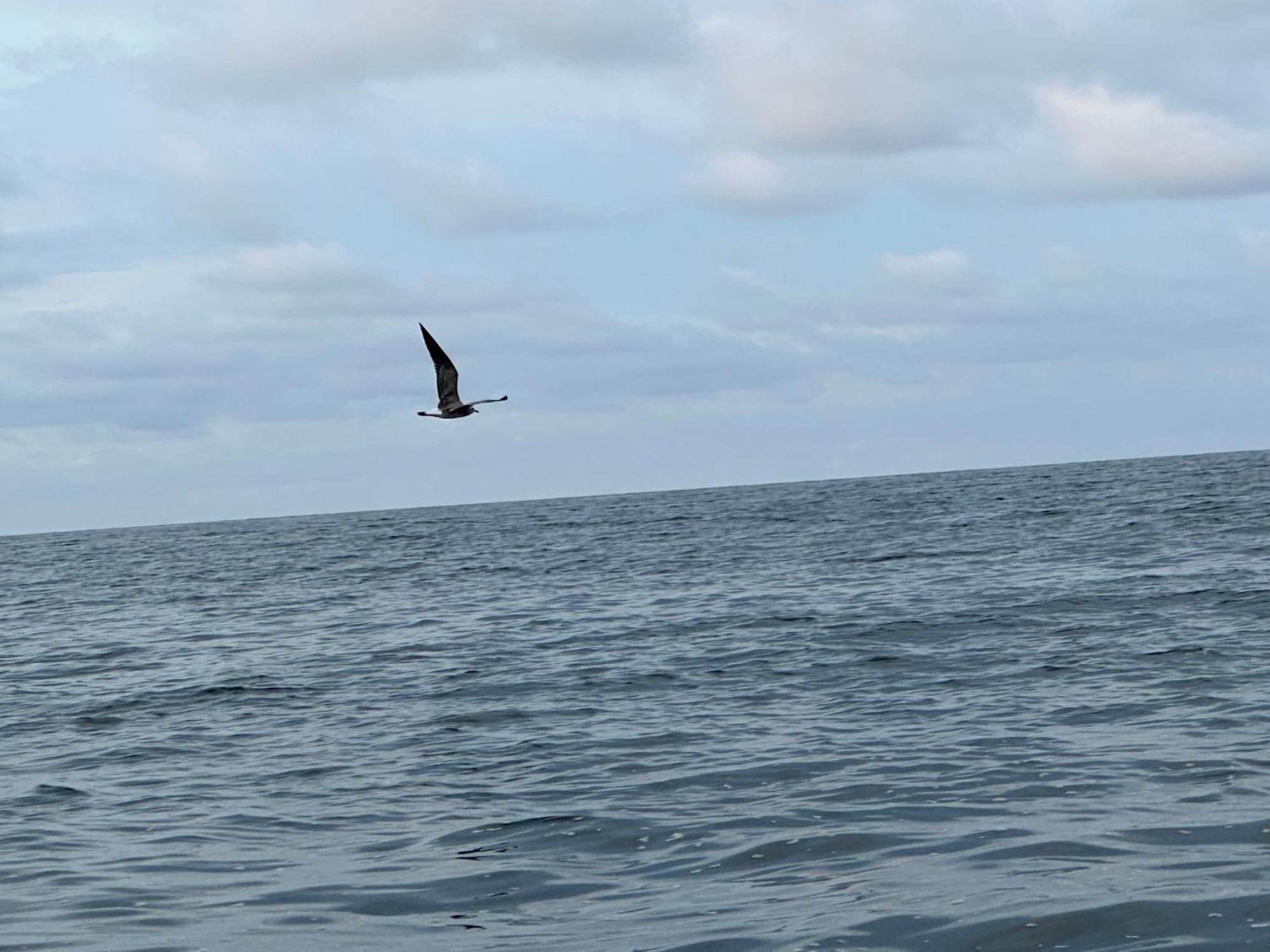 El Deseo Serendipity Tortuguero Kültér fotó