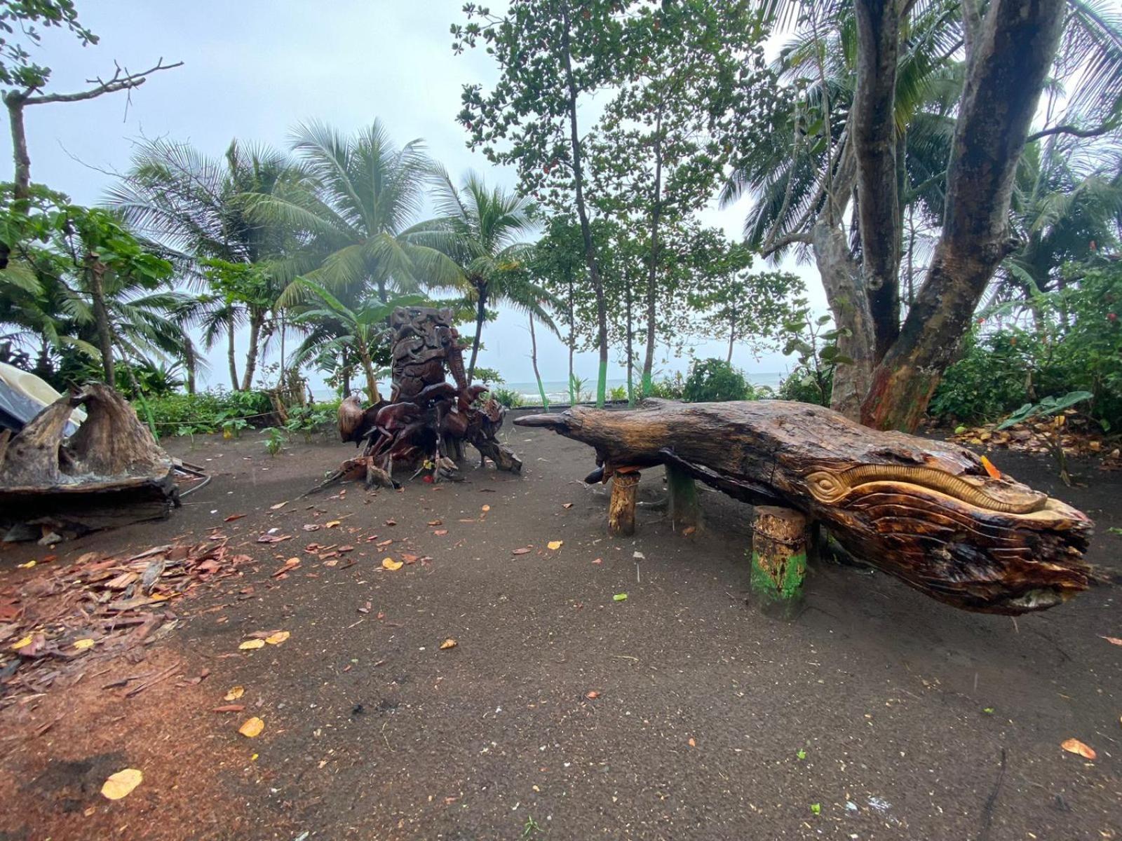El Deseo Serendipity Tortuguero Kültér fotó