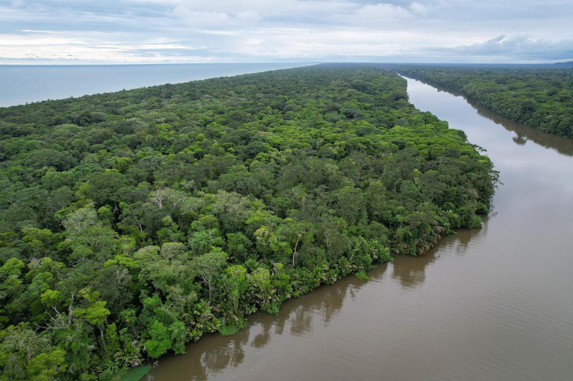 El Deseo Serendipity Tortuguero Kültér fotó