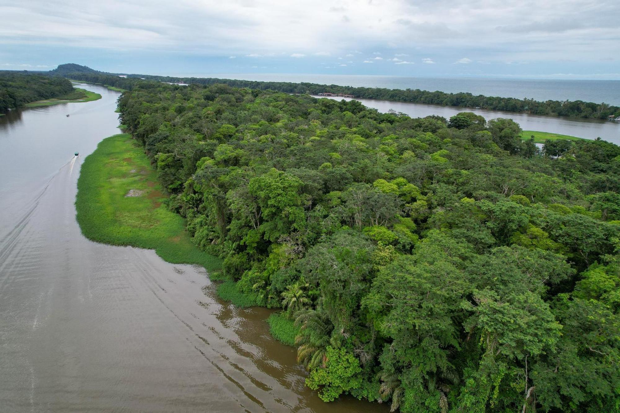 El Deseo Serendipity Tortuguero Kültér fotó