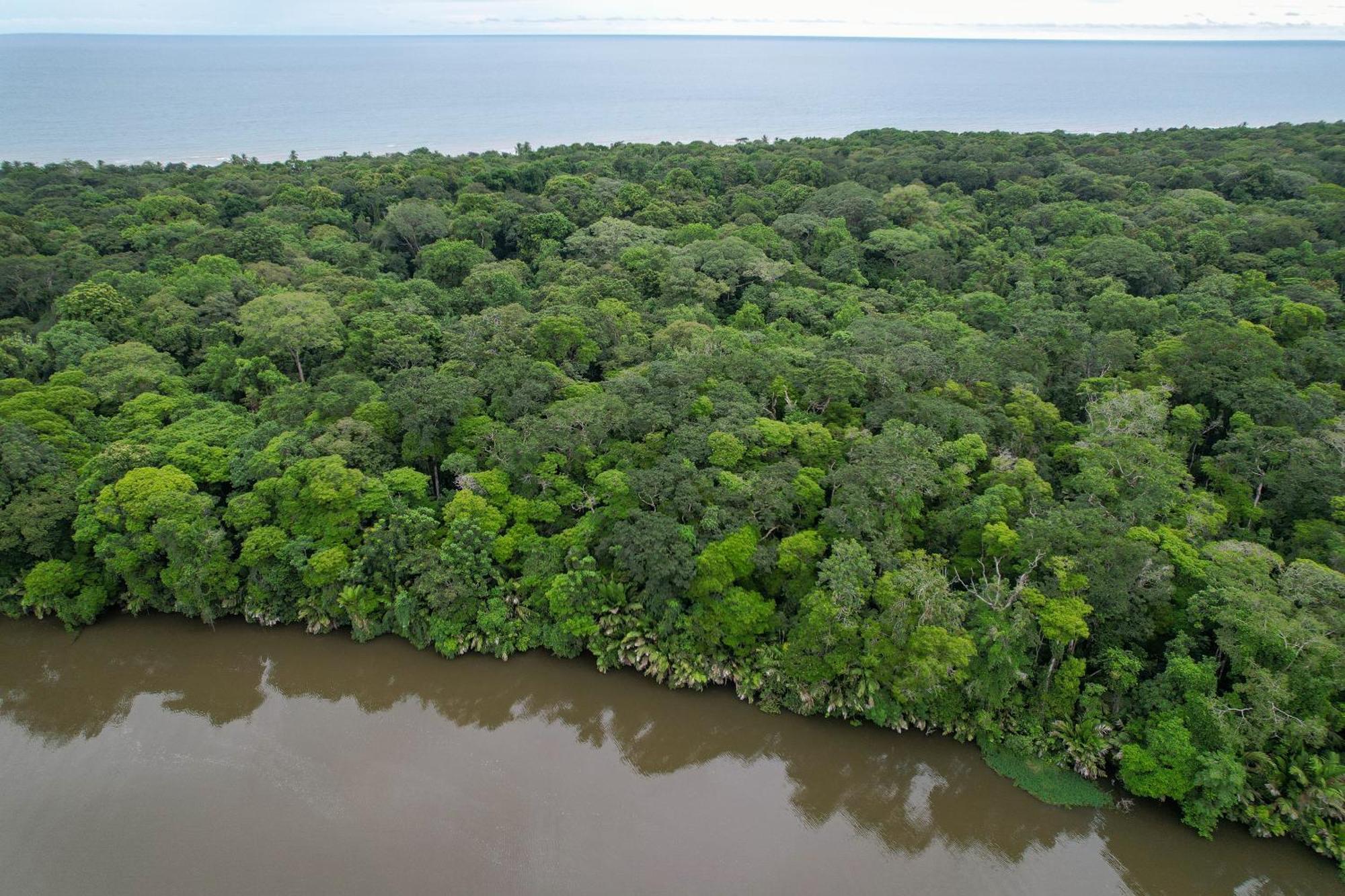 El Deseo Serendipity Tortuguero Kültér fotó
