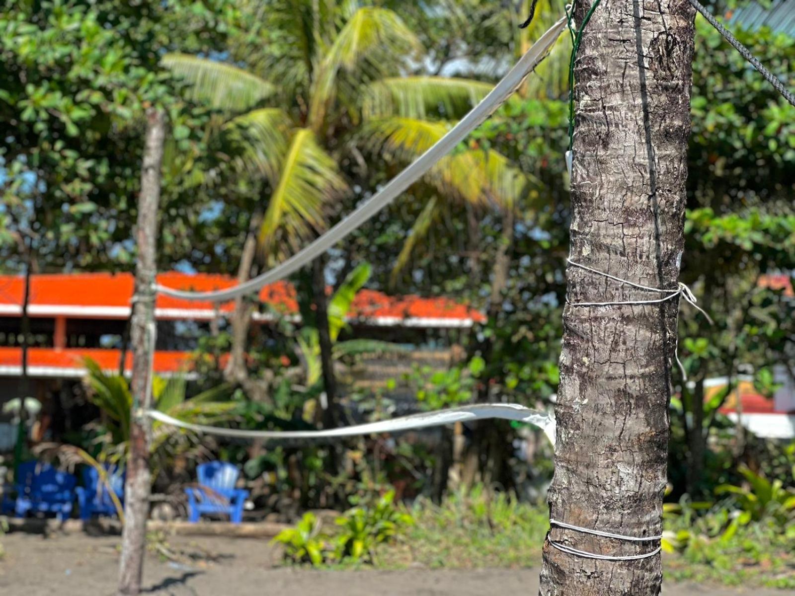 El Deseo Serendipity Tortuguero Kültér fotó