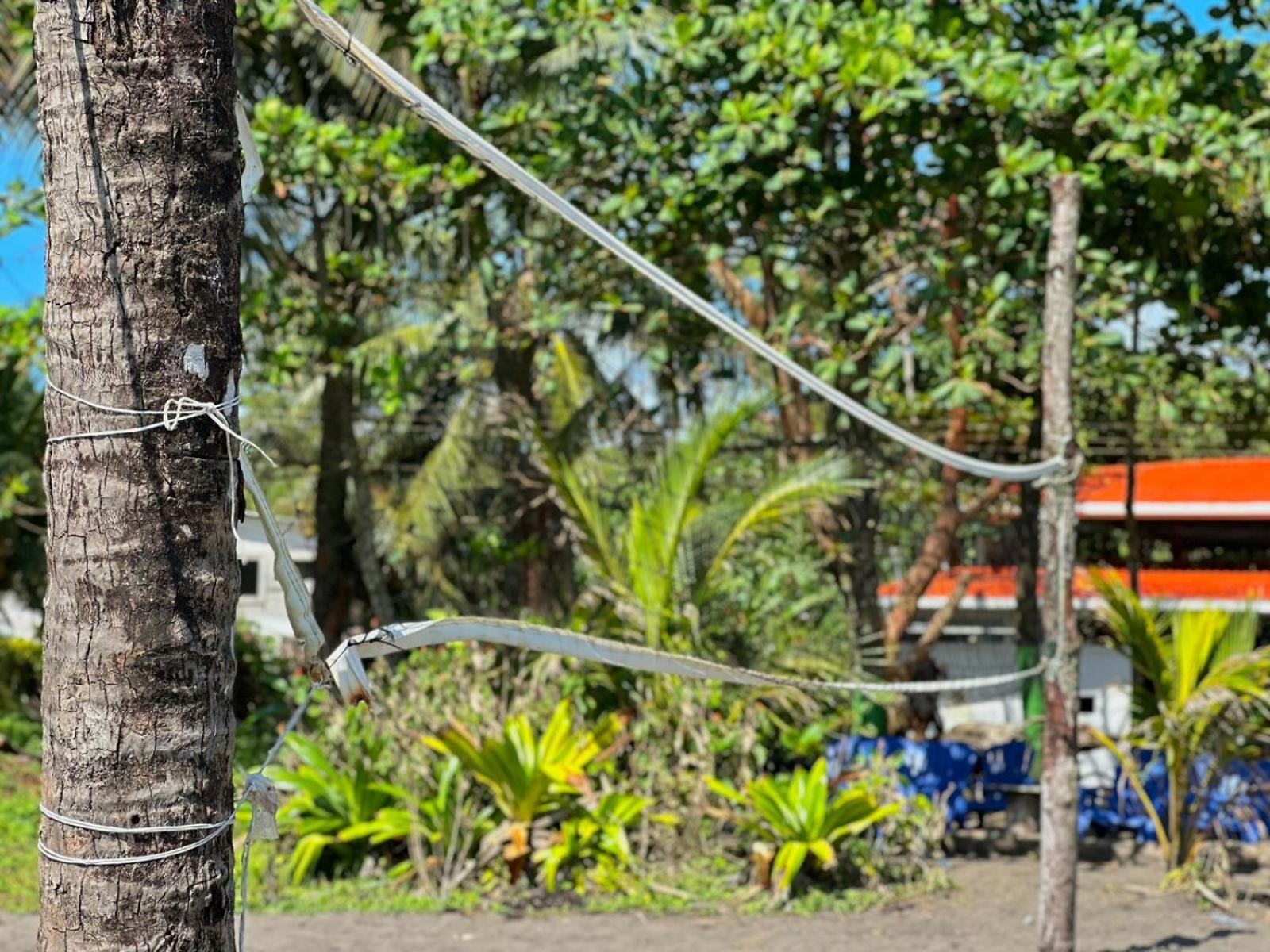 El Deseo Serendipity Tortuguero Kültér fotó