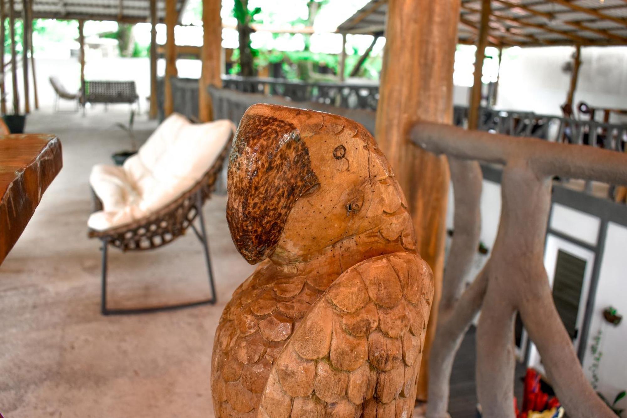 El Deseo Serendipity Tortuguero Kültér fotó